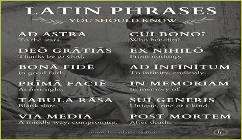 A Profile Of A Latin Beauty